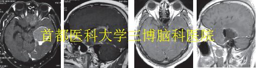 資料