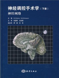 神經(jīng)調(diào)控手術(shù)學(xué)(下冊(cè)：神經(jīng)網(wǎng)絡(luò)) 